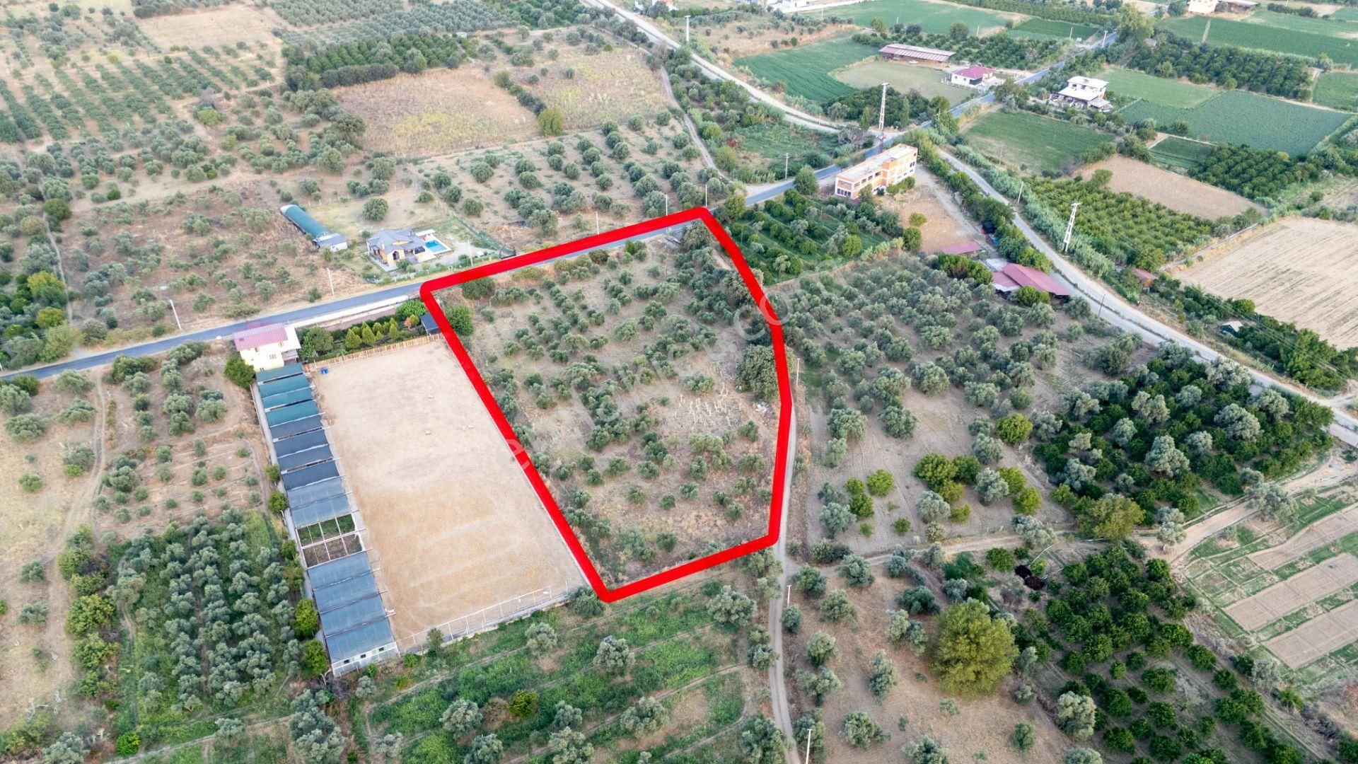 Güzelköy Mahallesinde Satılık Yol Kenarı Zeytinlik - Görsel 4