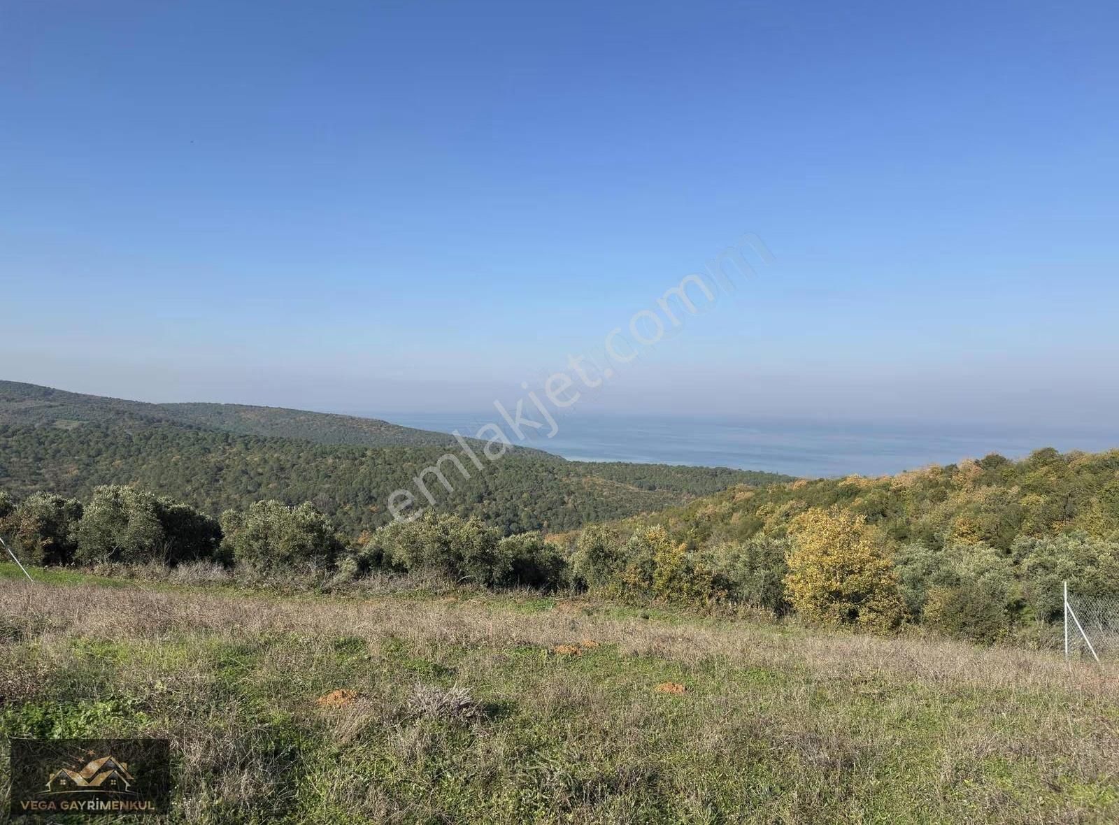 Eğerce'de Full Deniz Manzaralı 340 M2 Tarla - Görsel 3