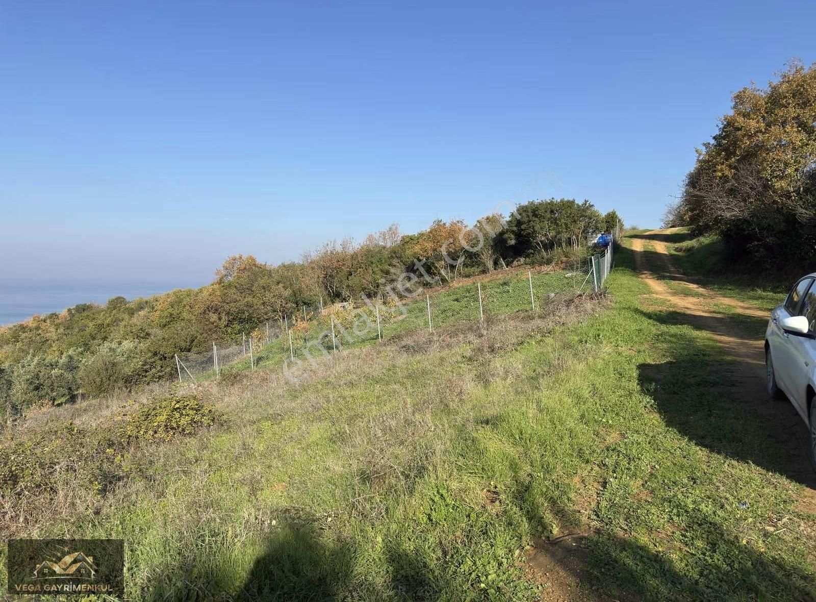 Eğerce'de Full Deniz Manzaralı 340 M2 Tarla - Görsel 9