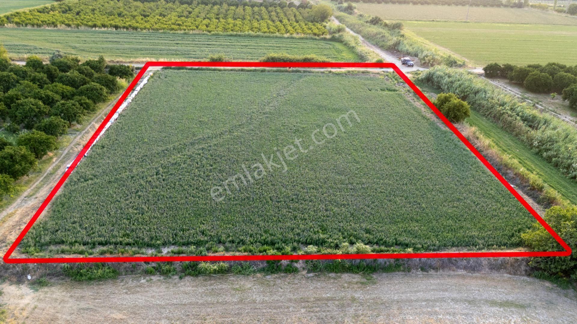 Güzelköy Mahallesinde Satılık 4 Dönüm Tarla - Görsel 3