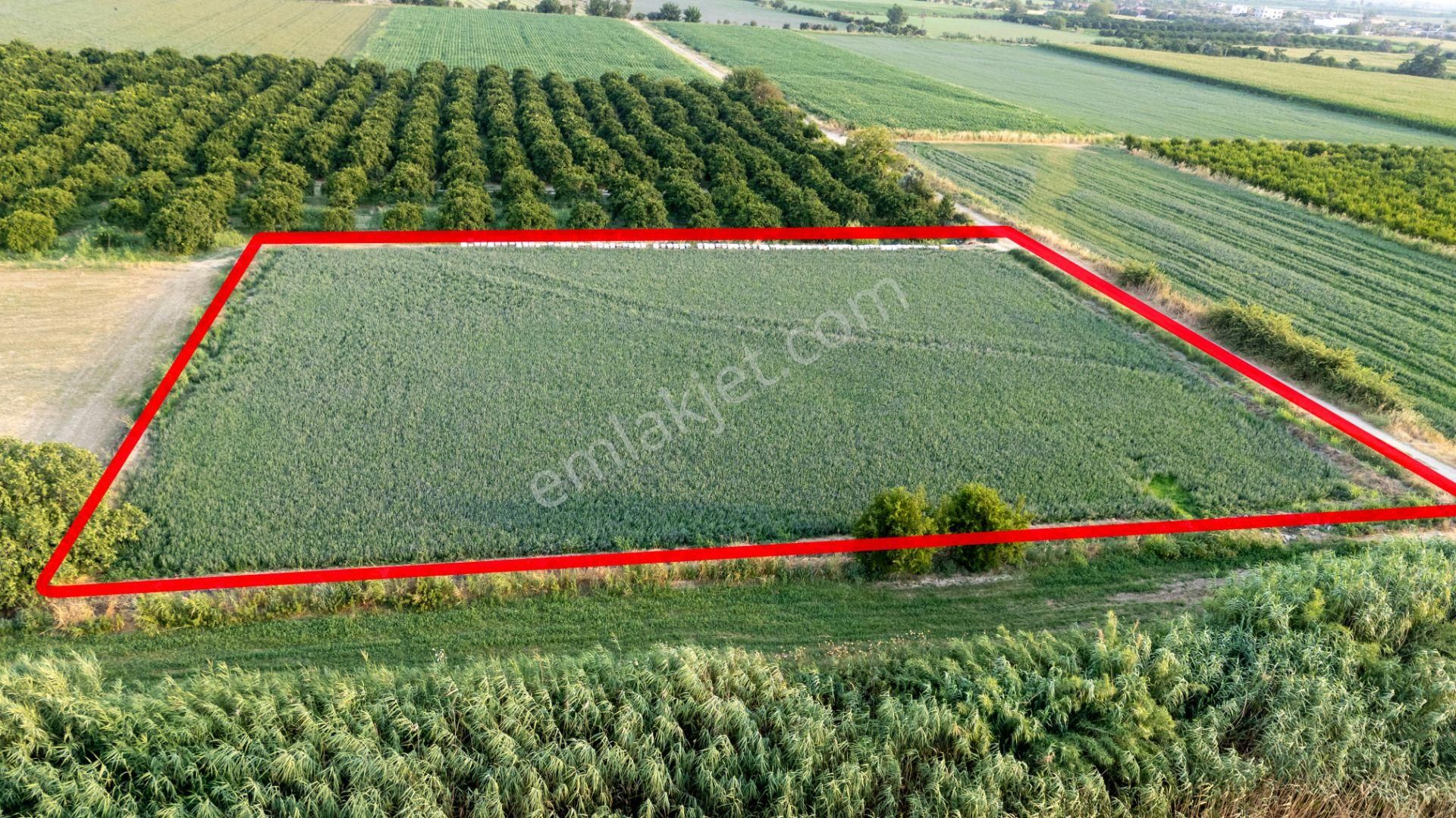 Güzelköy Mahallesinde Satılık 4 Dönüm Tarla - Görsel 4