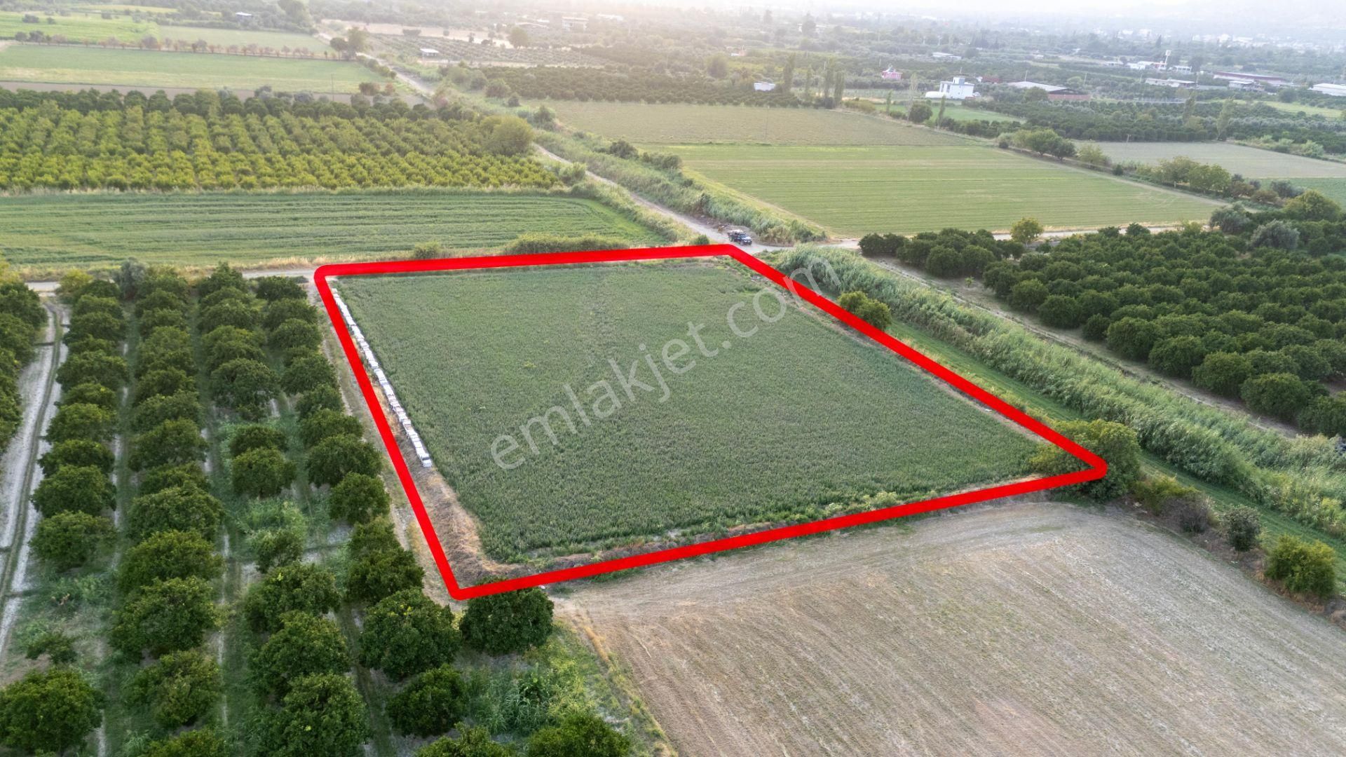 Güzelköy Mahallesinde Satılık 4 Dönüm Tarla - Görsel 2