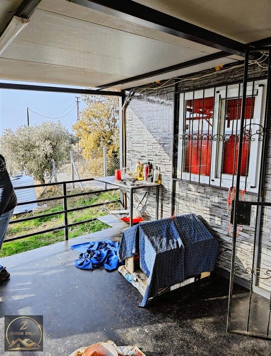Zengin Emlak'tan Helvacıda 1483 M2 Zeytinlik - Görsel 2