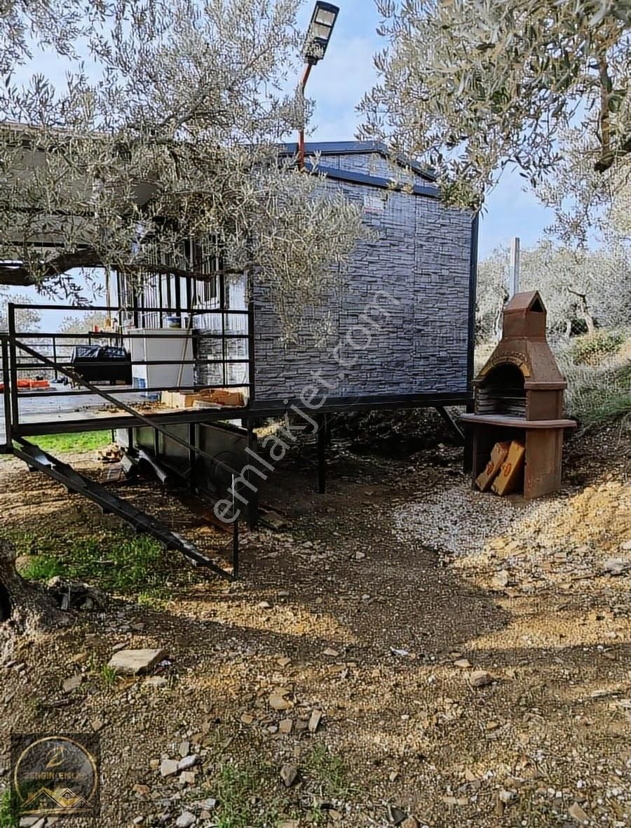 Zengin Emlak'tan Helvacıda 1483 M2 Zeytinlik - Görsel 5