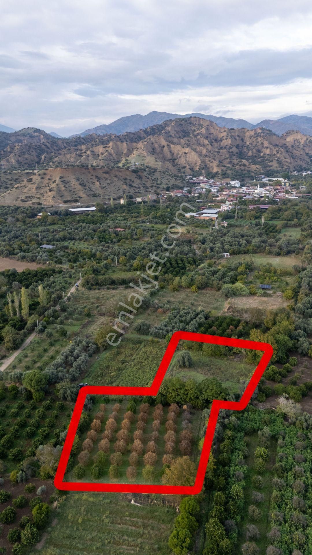 Yalınkuyu Mahallesinde Satılık 4 Dönüm Bahçe - Görsel 2