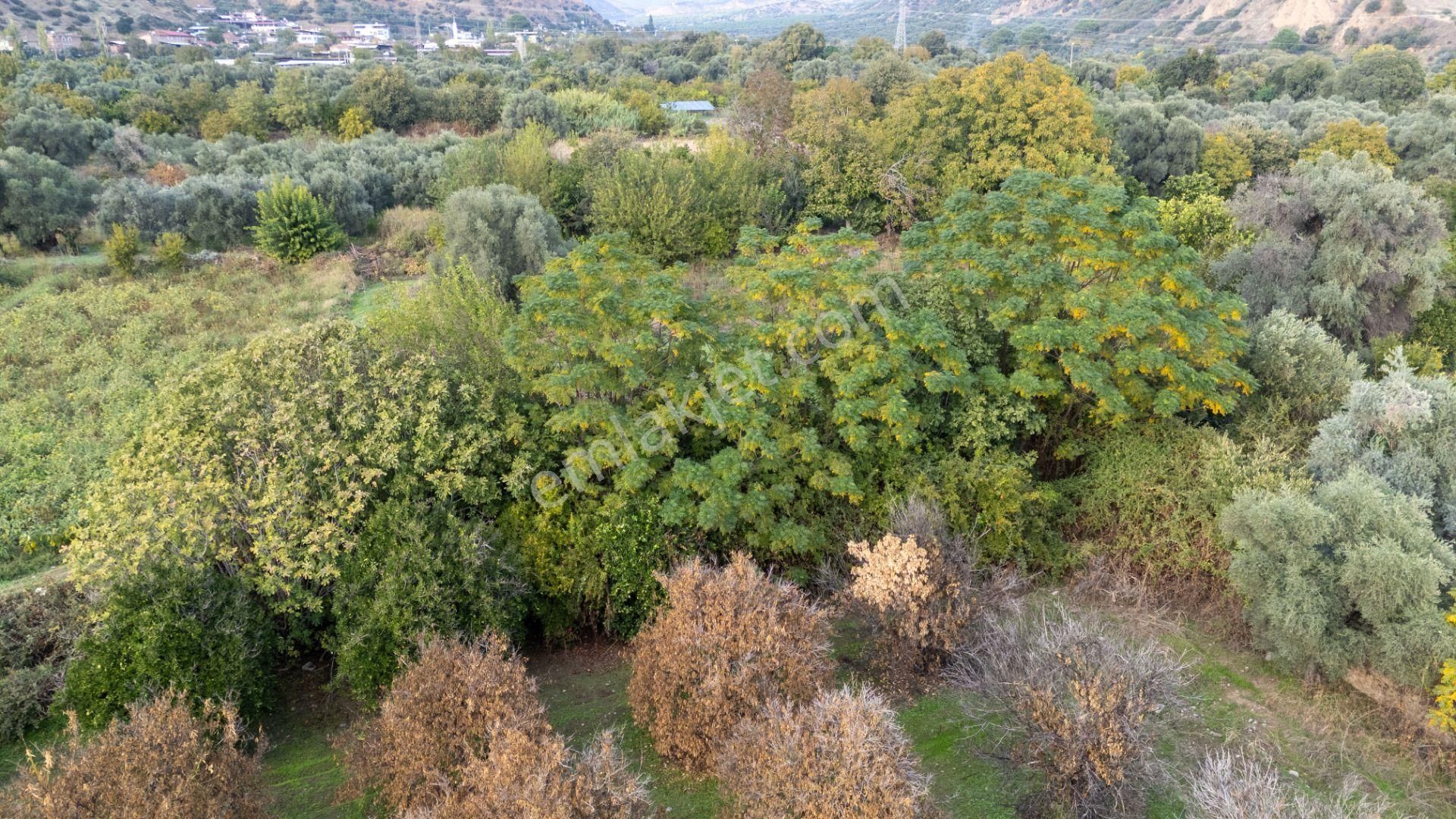 Yalınkuyu Mahallesinde Satılık 4 Dönüm Bahçe - Görsel 8