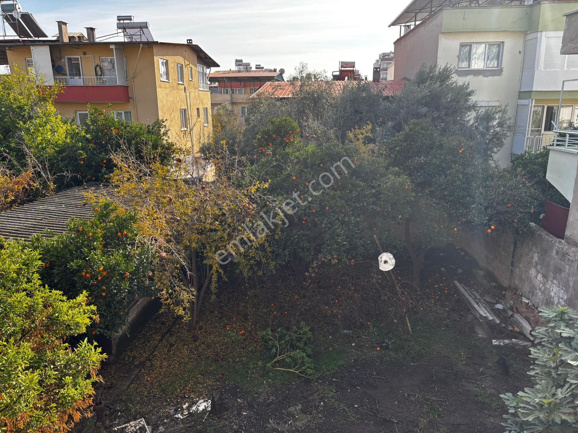 919 Şirinevler Mahallesinde Satılık 3 Katlı Bina - Görsel 6