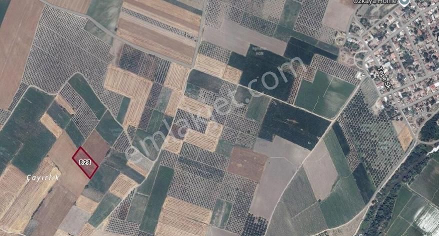 Karacabey Sultaniye Köye 350 Metre 5 Dönüm Tarla - Görsel 11