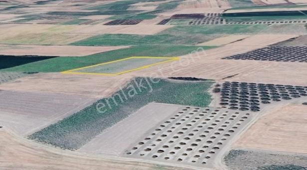 Karacabey Sultaniye Köye 350 Metre 5 Dönüm Tarla - Görsel 13