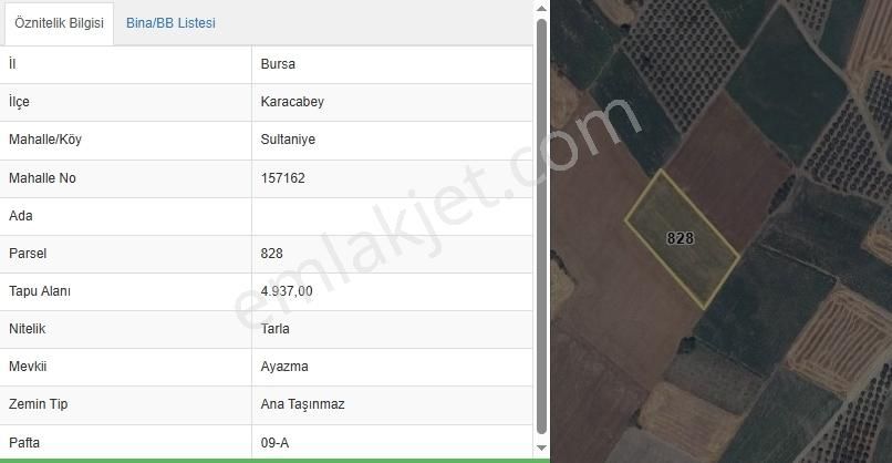 Karacabey Sultaniye Köye 350 Metre 5 Dönüm Tarla - Görsel 6