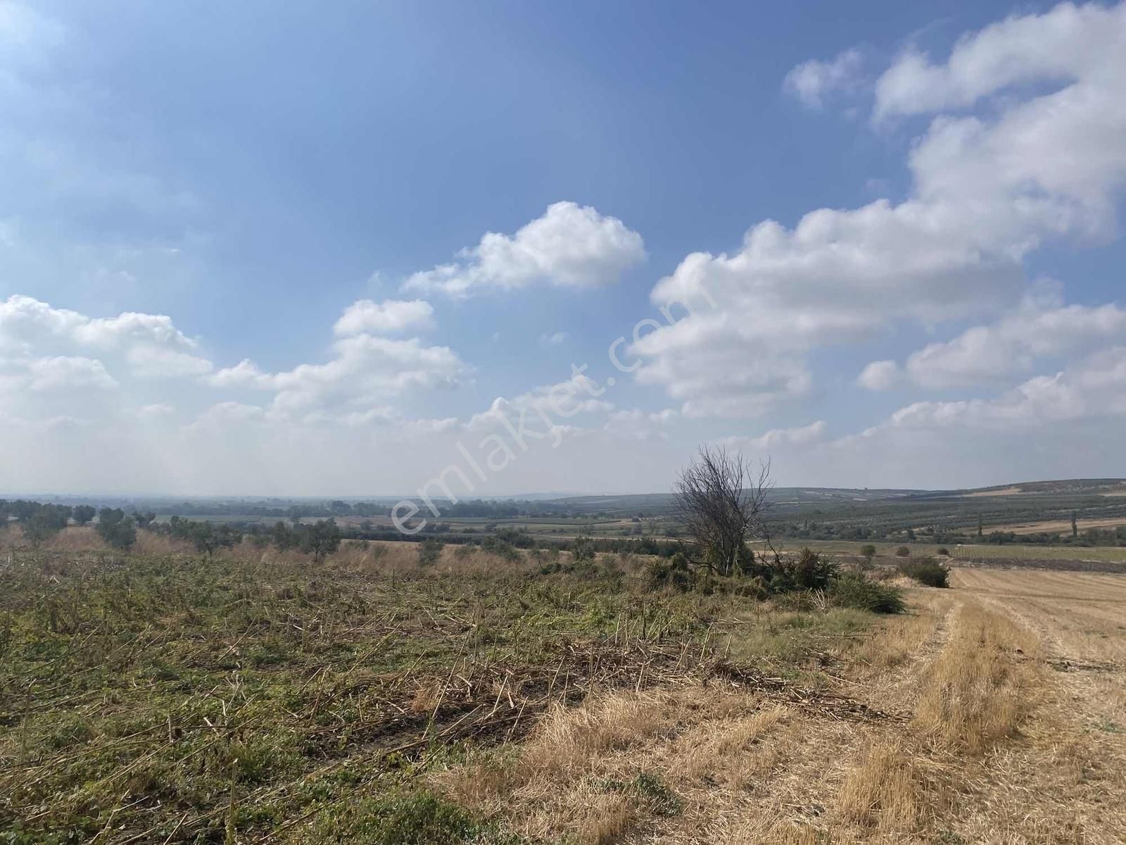 Karacabey Sultaniye Köye 350 Metre 5 Dönüm Tarla - Görsel 8