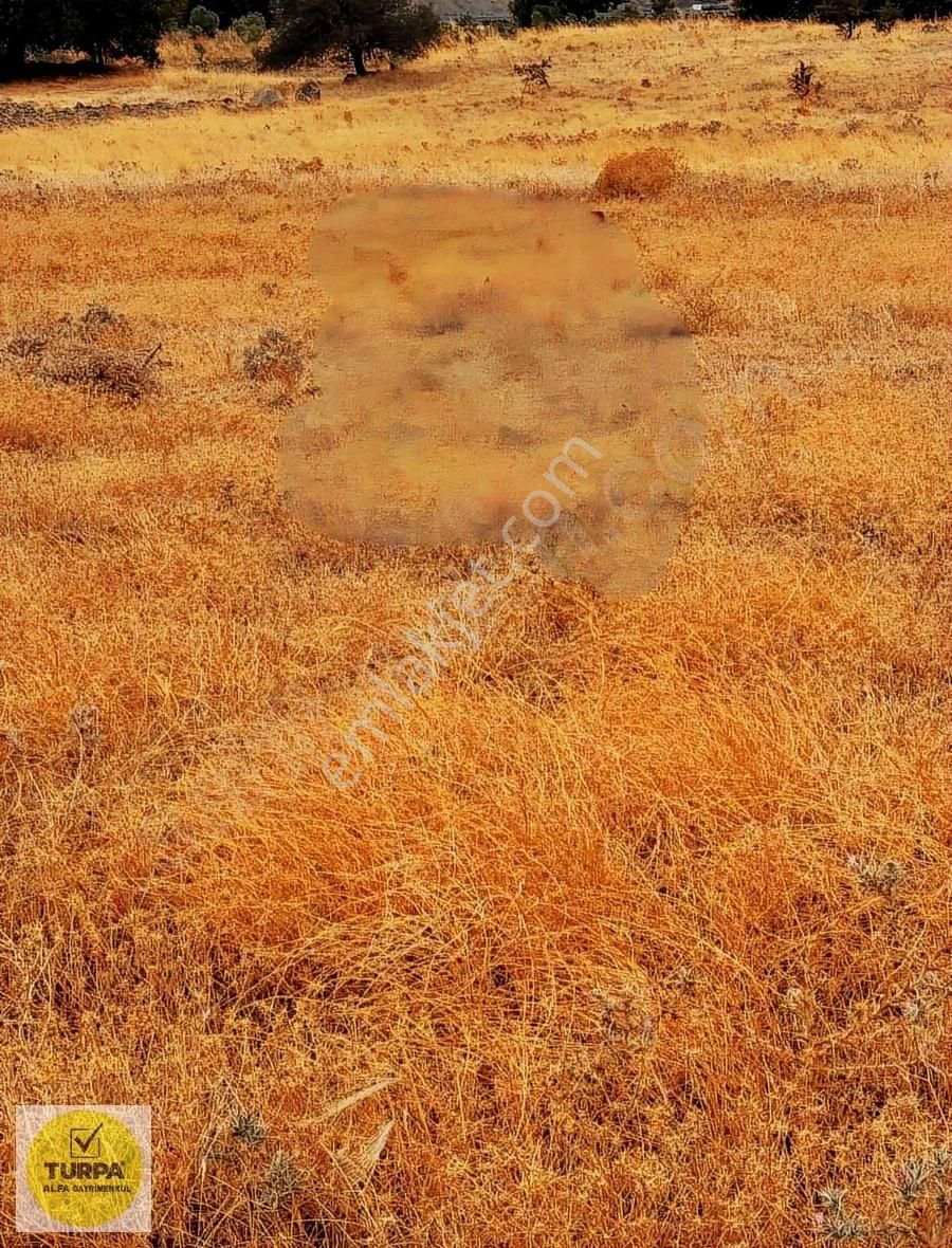 Aliağa Kalabak Resmi Yola Cepheli (110 M) Cephe Yatırımlık Tarla - Görsel 5