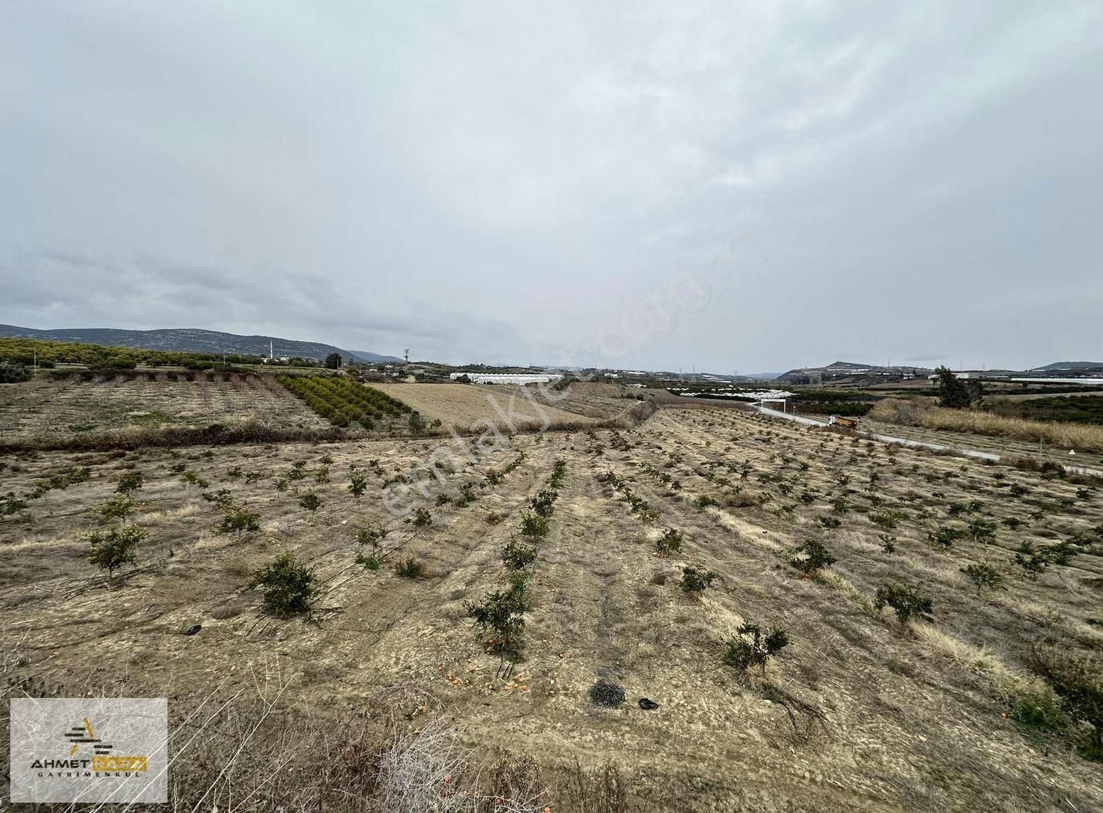 Ahmet Kara'dan Puğ Karacadağ-mersin Yoluna Geniş Cepheli Arazi - Görsel 2