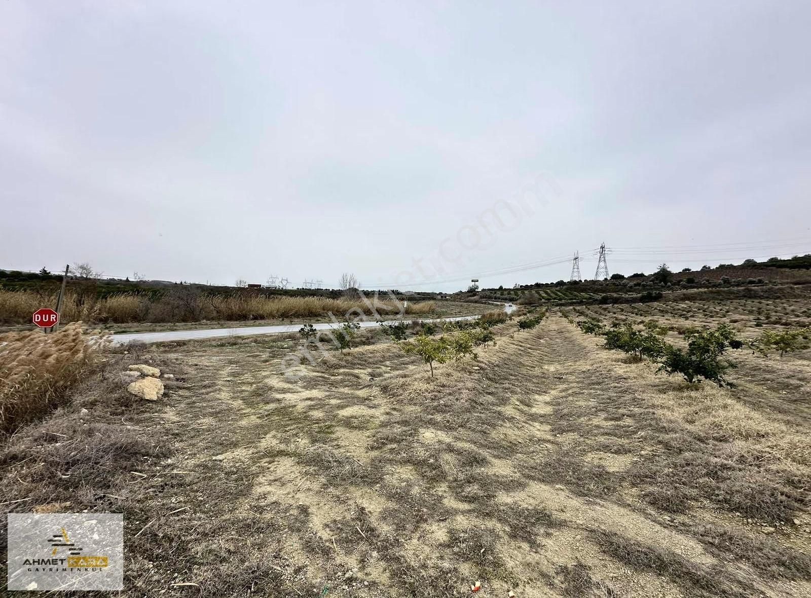 Ahmet Kara'dan Puğ Karacadağ-mersin Yoluna Geniş Cepheli Arazi - Görsel 3