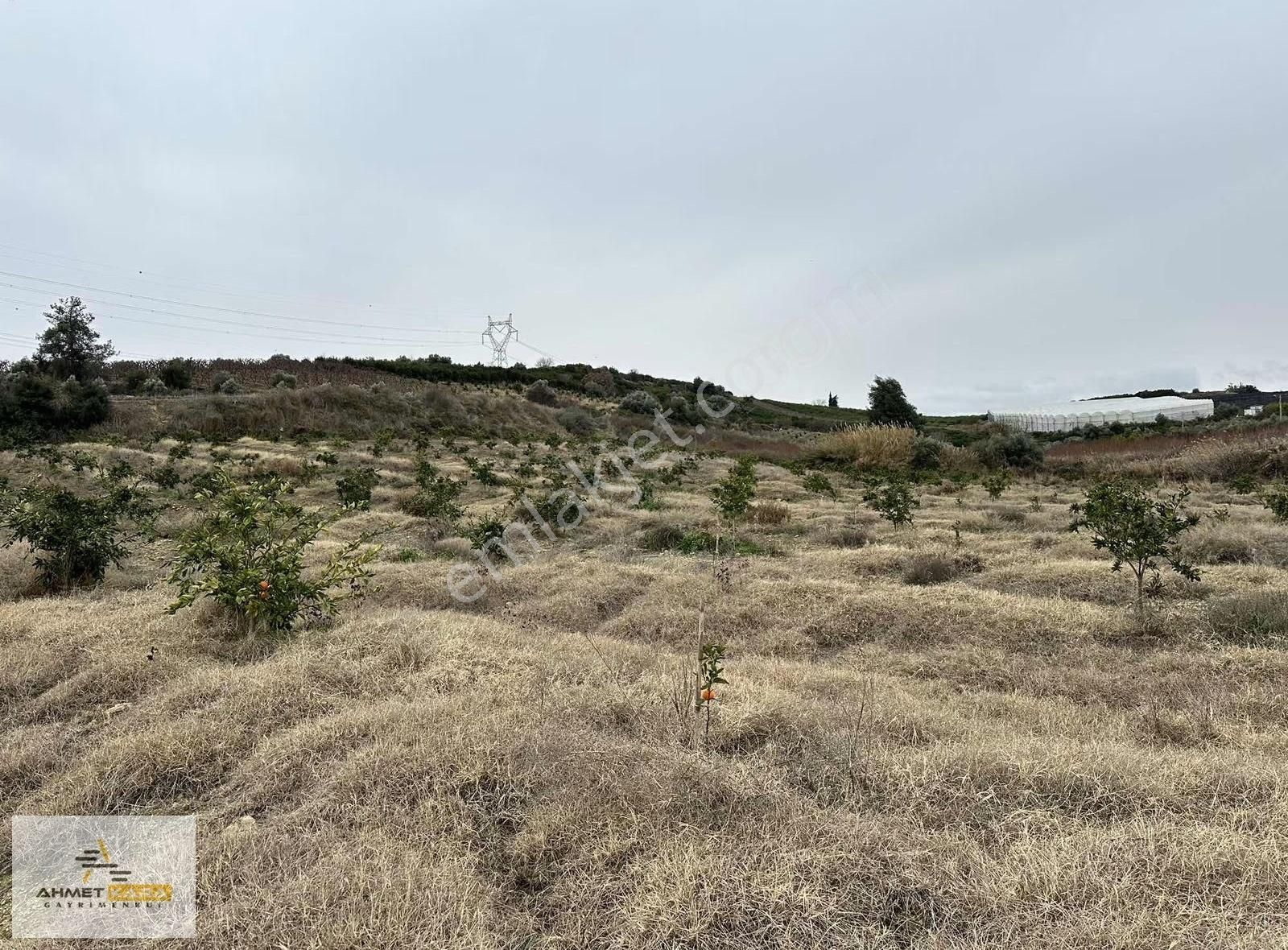 Ahmet Kara'dan Puğ Karacadağ-mersin Yoluna Geniş Cepheli Arazi - Görsel 18