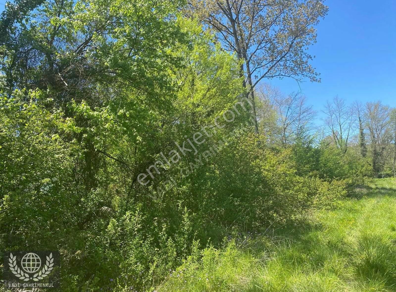 Kandıra Çalca Köyün De Kelepir Tarla