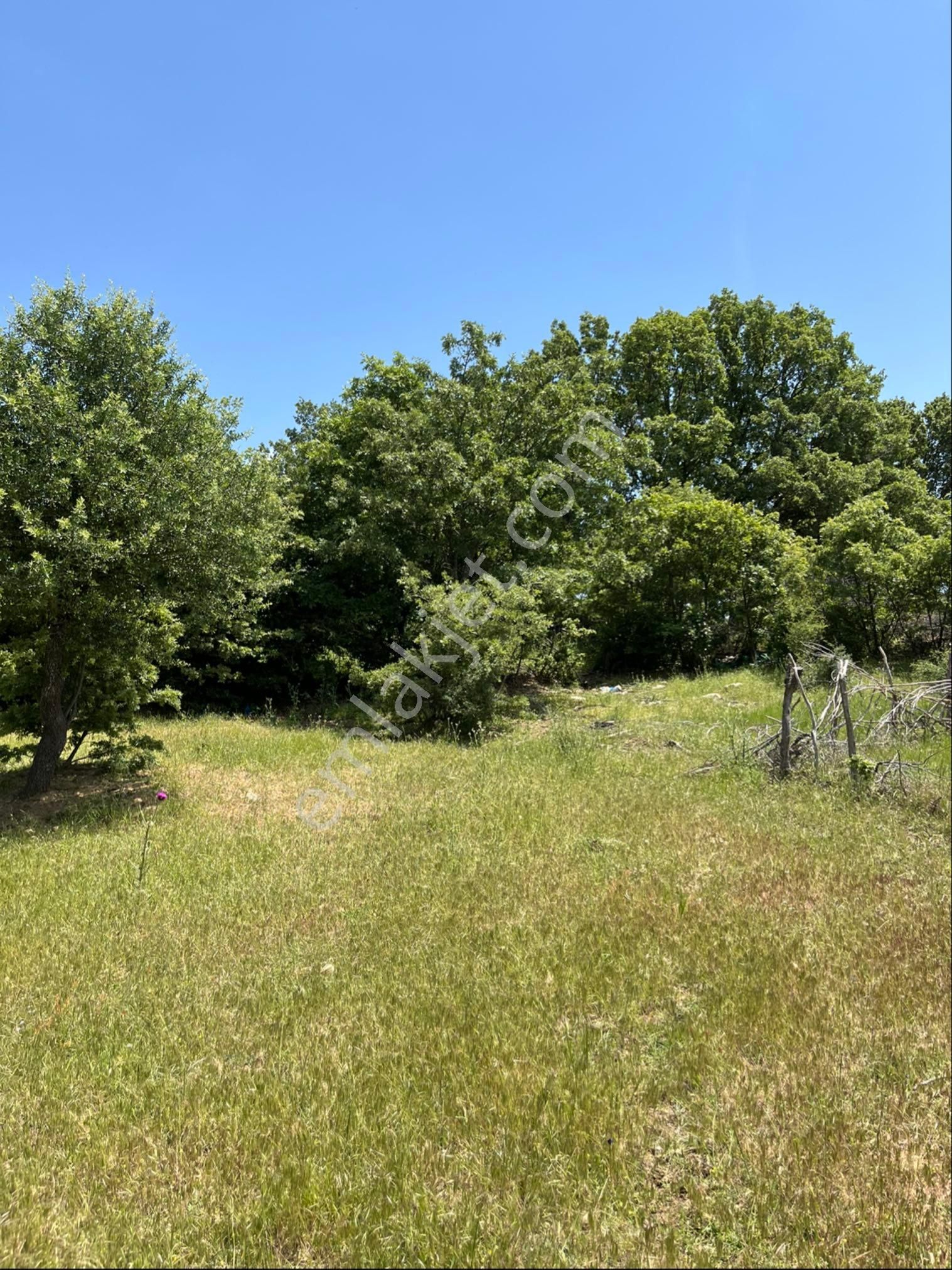 Kozak Çelebi Emlak Tan Yaylada 30 Dönüm Arazi - Görsel 15