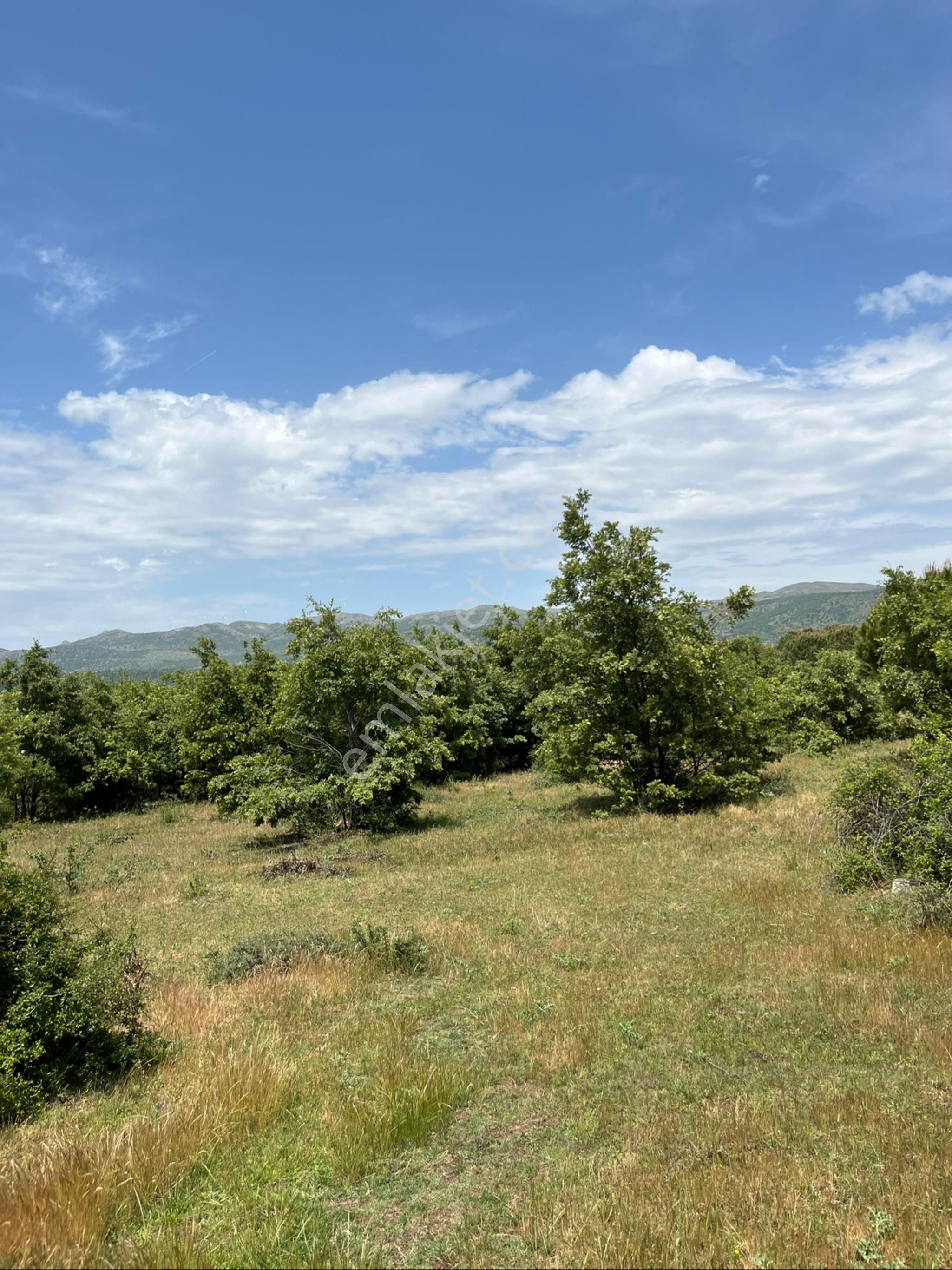 Kozak Çelebi Emlak Tan Yaylada 30 Dönüm Arazi - Görsel 19