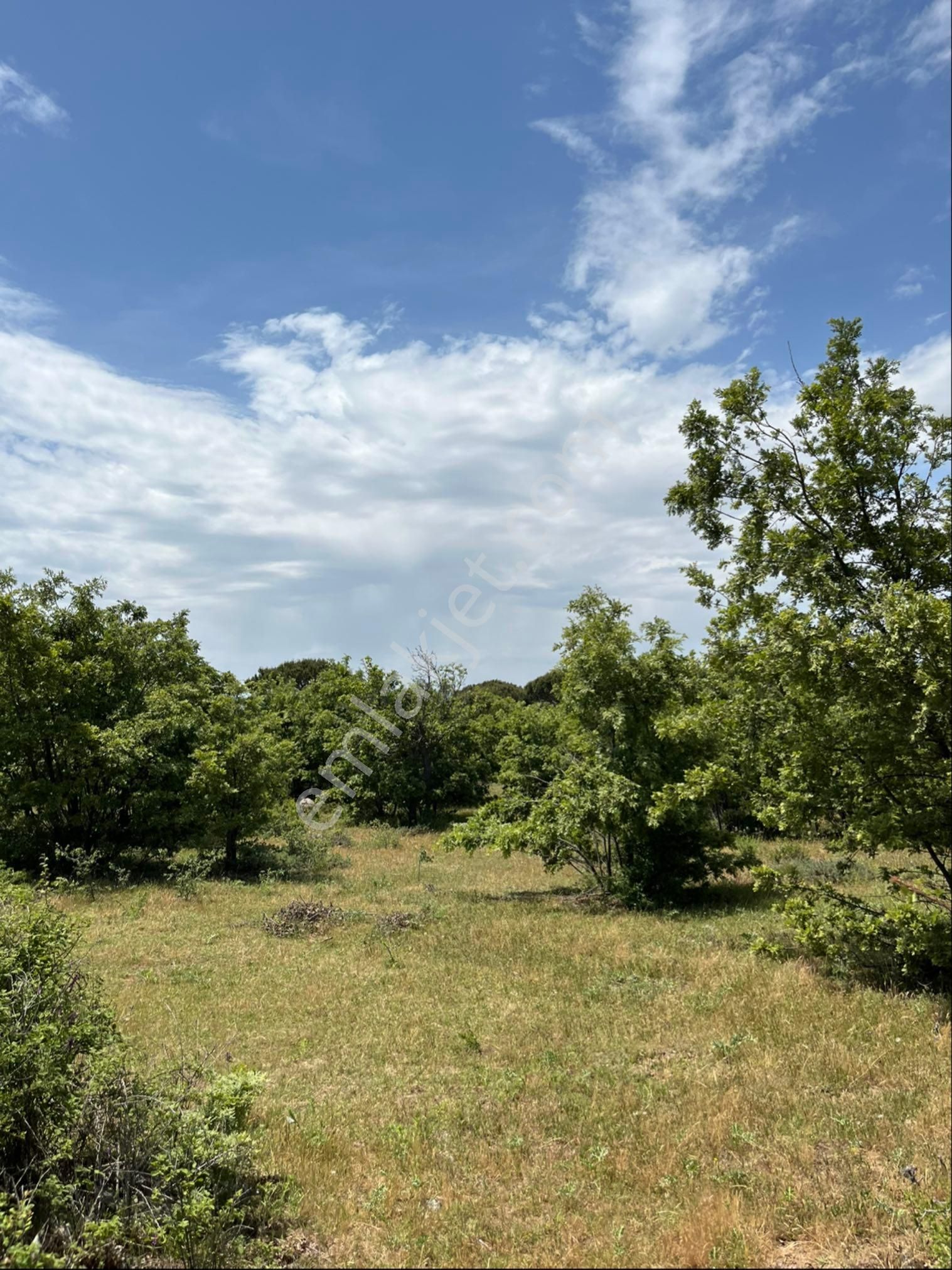 Kozak Çelebi Emlak Tan Yaylada 30 Dönüm Arazi - Görsel 6