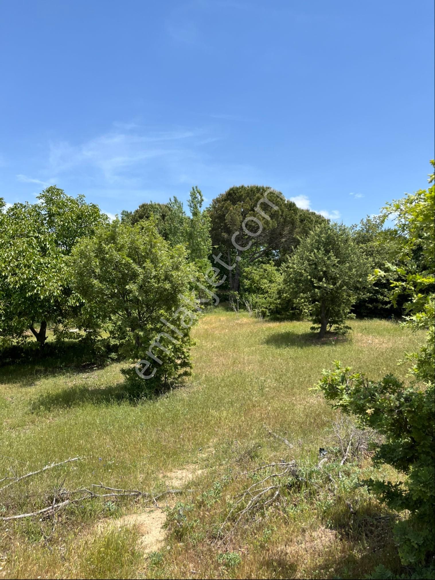 Kozak Çelebi Emlak Tan Yaylada 30 Dönüm Arazi - Görsel 17