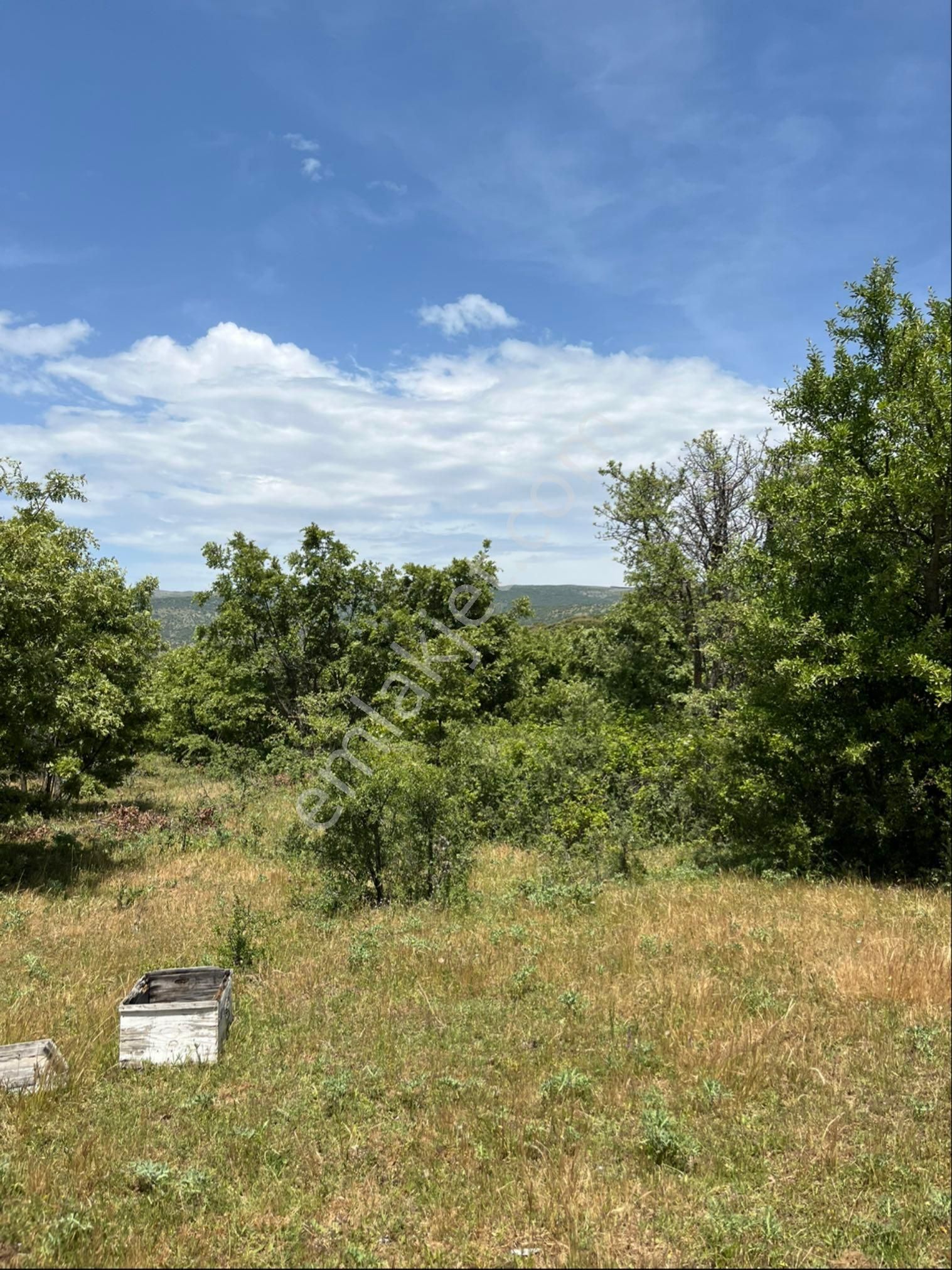 Kozak Çelebi Emlak Tan Yaylada 30 Dönüm Arazi - Görsel 23