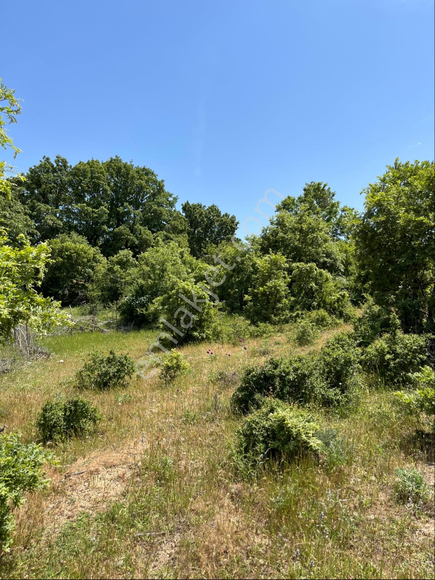 Kozak Çelebi Emlak Tan Yaylada 30 Dönüm Arazi - Görsel 16