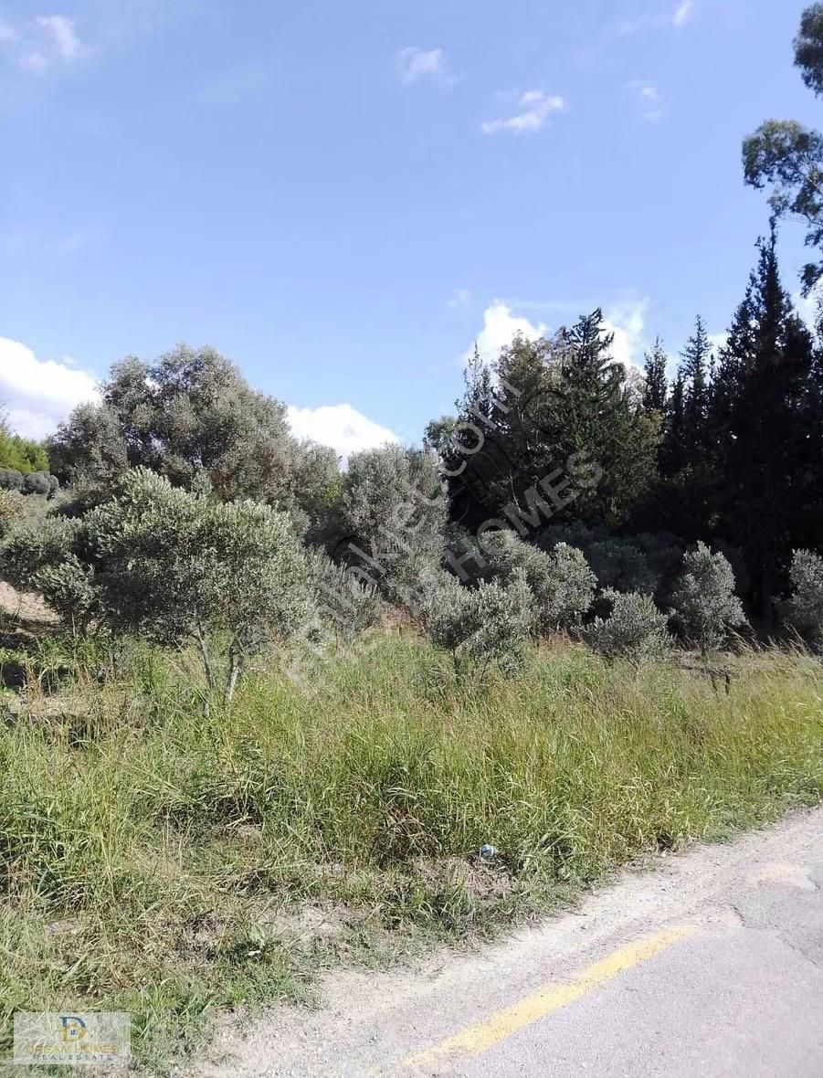 Seydikemer Korubük Mahallesinde Satılık Köy İçi İmarlı Tarla - Görsel 8