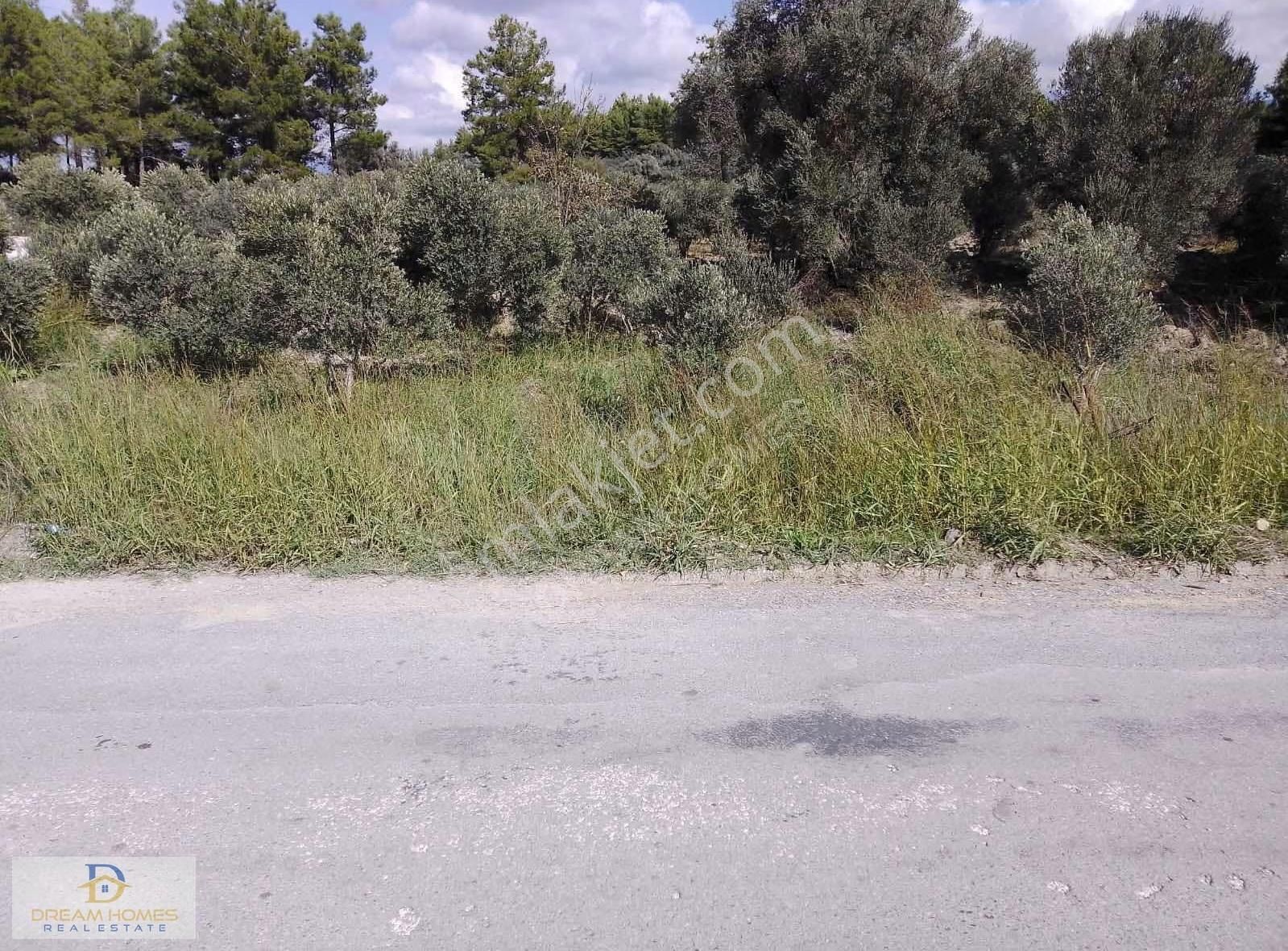 Seydikemer Korubük Mahallesinde Satılık Köy İçi İmarlı Tarla - Görsel 7