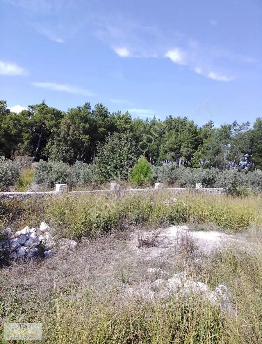 Seydikemer Korubük Mahallesinde Satılık Köy İçi İmarlı Tarla - Görsel 4