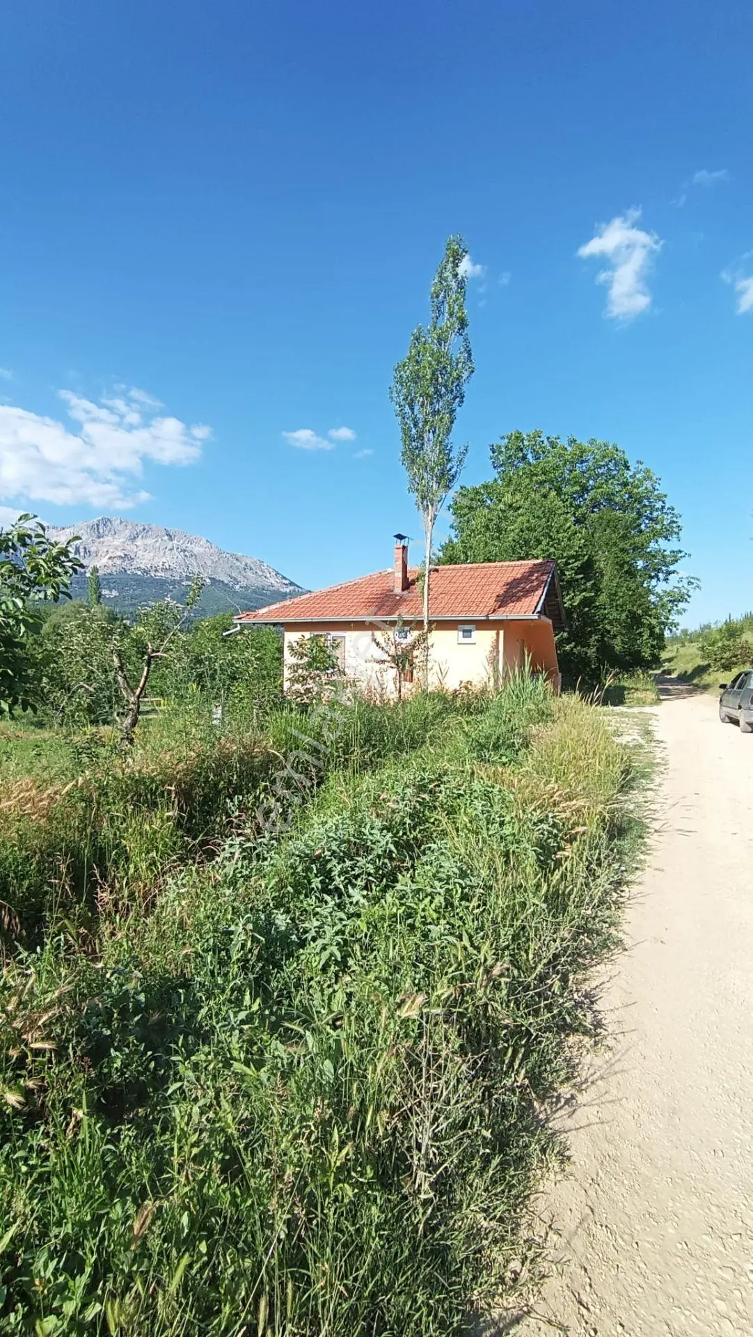 Wisrem Isparta - Tarla ( Burdur / Ağlasun )