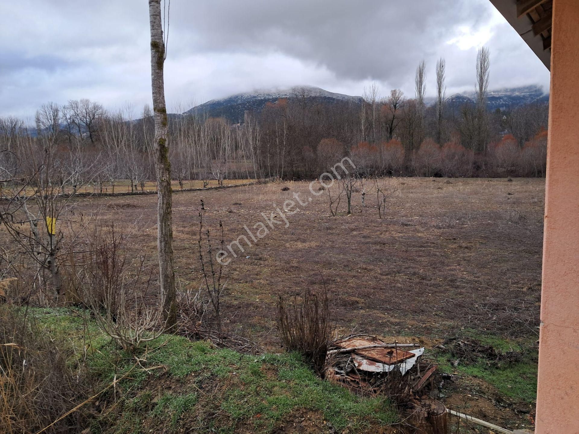 Wisrem Isparta - Tarla ( Burdur / Ağlasun ) - Görsel 2