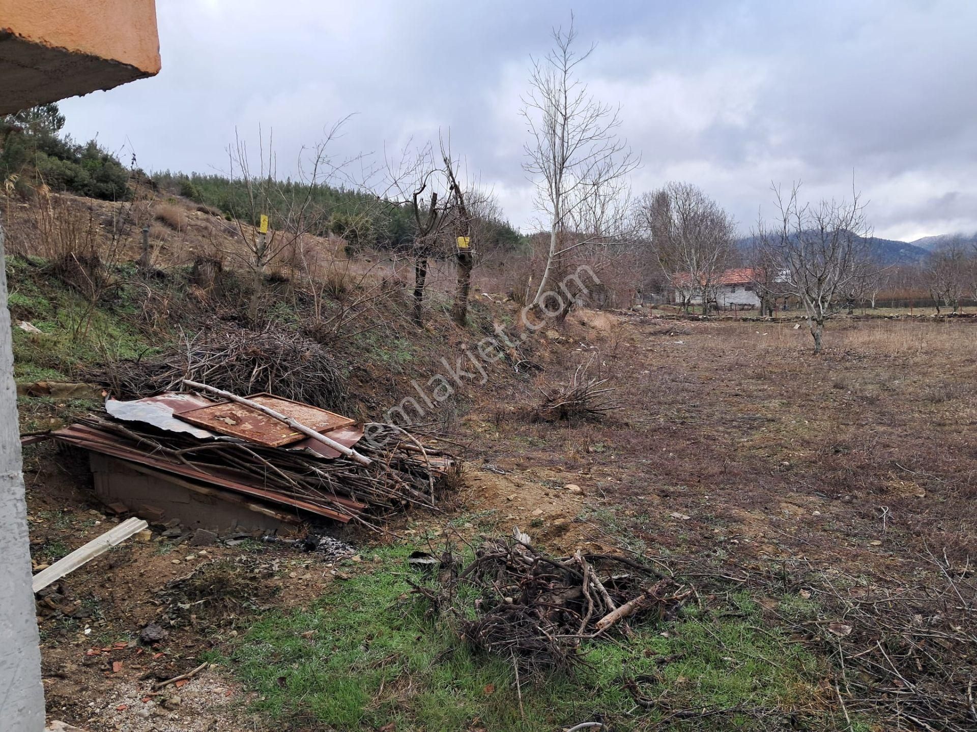 Wisrem Isparta - Tarla ( Burdur / Ağlasun ) - Görsel 5