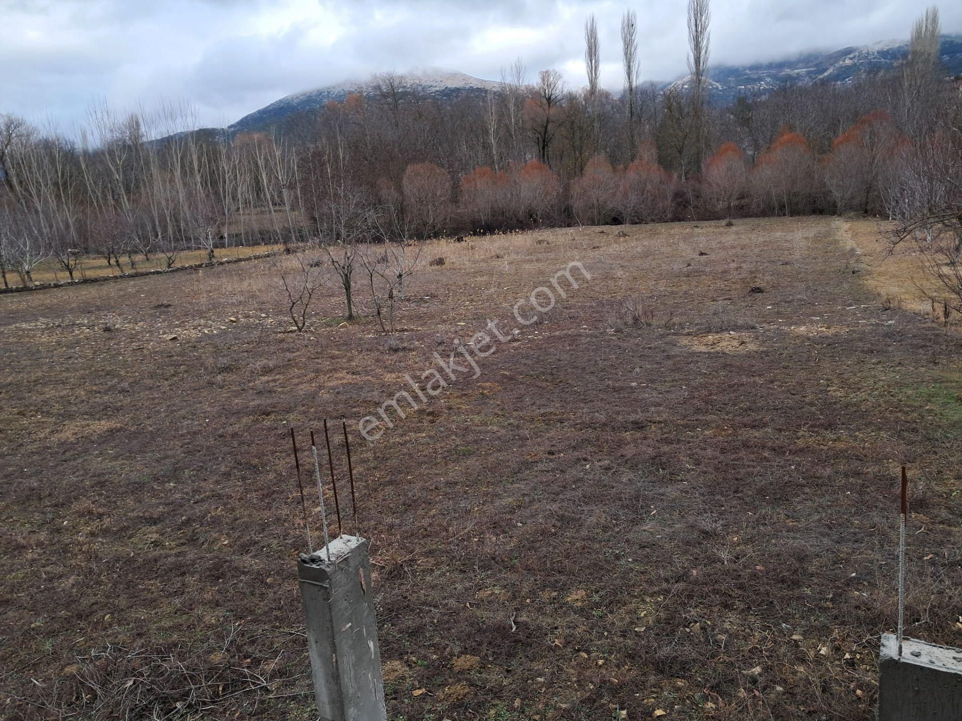Wisrem Isparta - Tarla ( Burdur / Ağlasun ) - Görsel 16