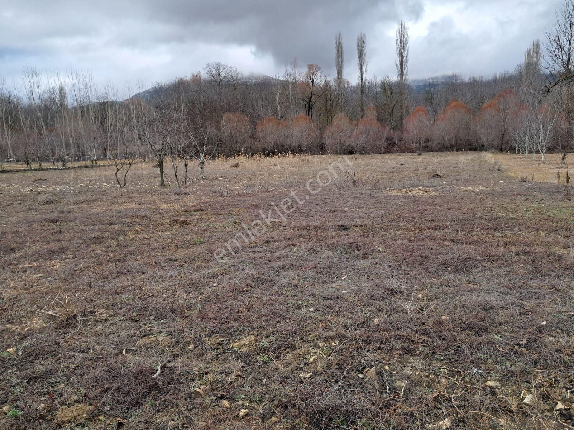 Wisrem Isparta - Tarla ( Burdur / Ağlasun )