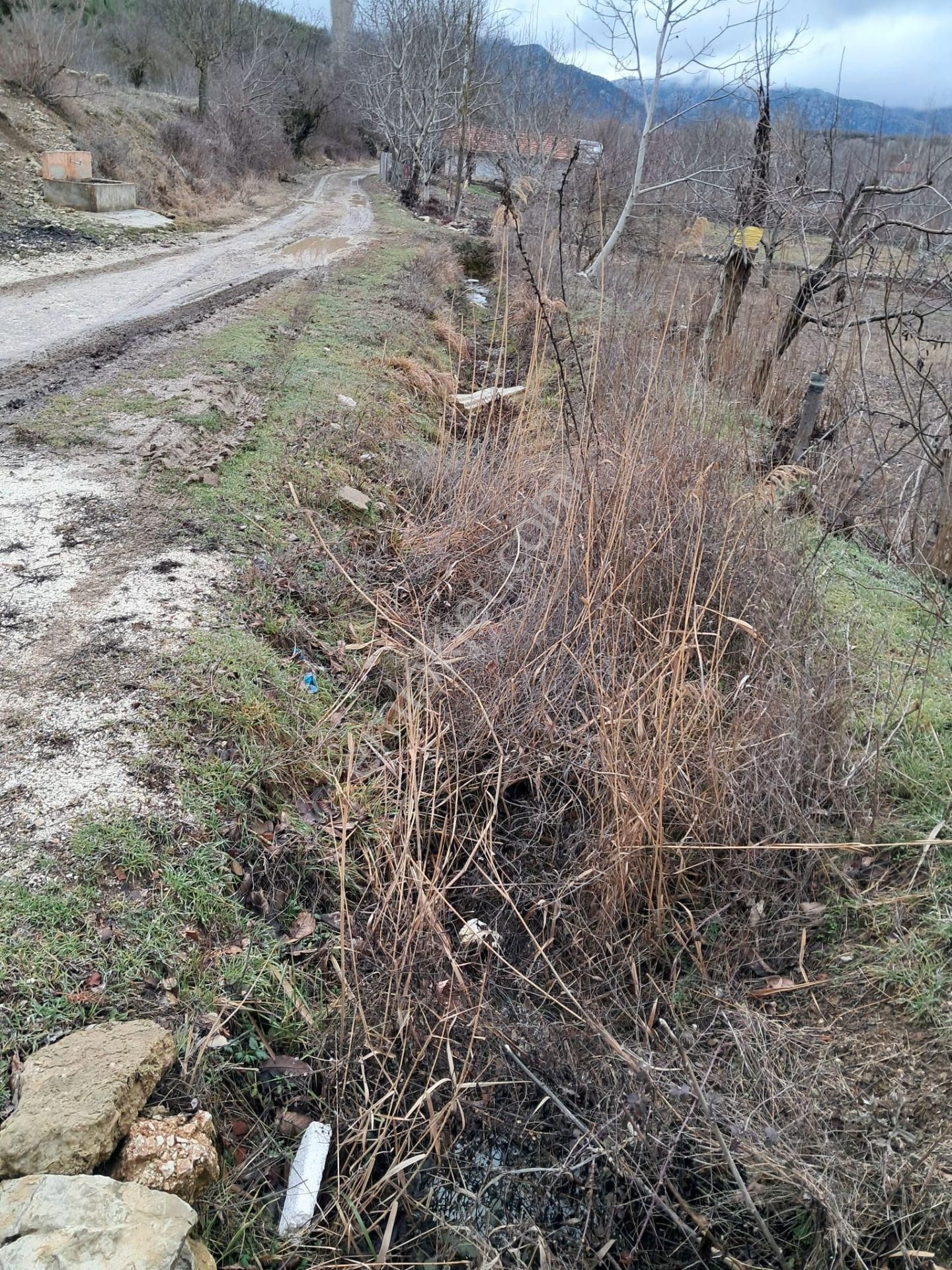 Wisrem Isparta - Tarla ( Burdur / Ağlasun ) - Görsel 3