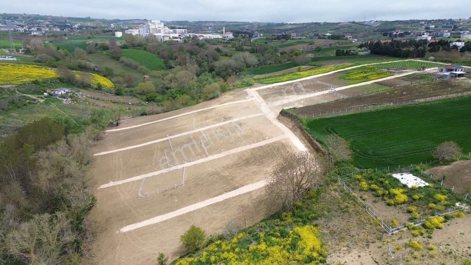 Silivri Ortaköy Mahallesinde Köy İçi Satılık Hisse Bağ Bahçe