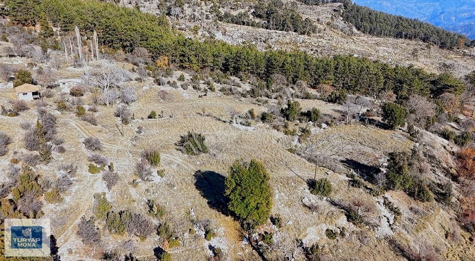 Antalya Kumluca Karacaörende Satılık Yatırımlık Tarla 11.181m2 - Görsel 2