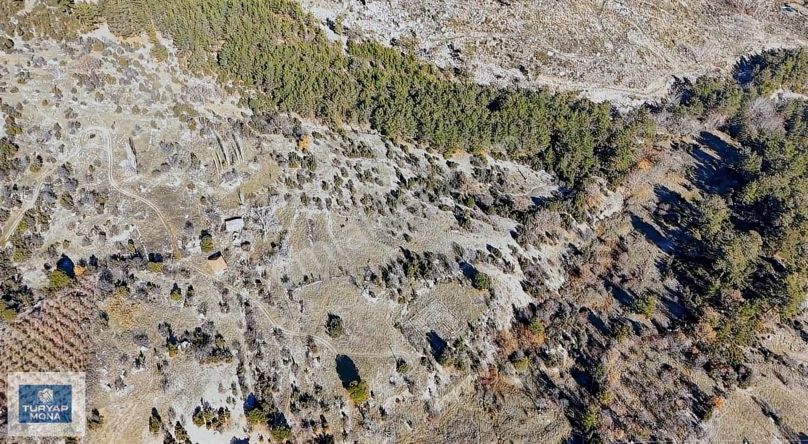 Antalya Kumluca Karacaörende Satılık Yatırımlık Tarla 11.181m2 - Görsel 3