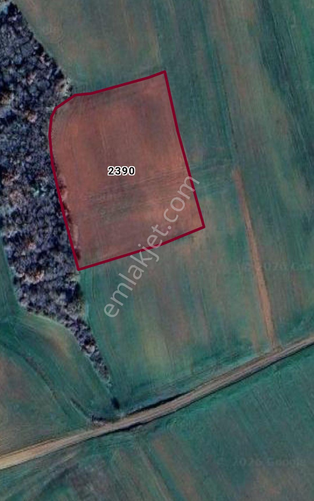 Tekirdağ Süleymanpaşa Banarlı Mhde Satılık 5550 M2 Tarla
