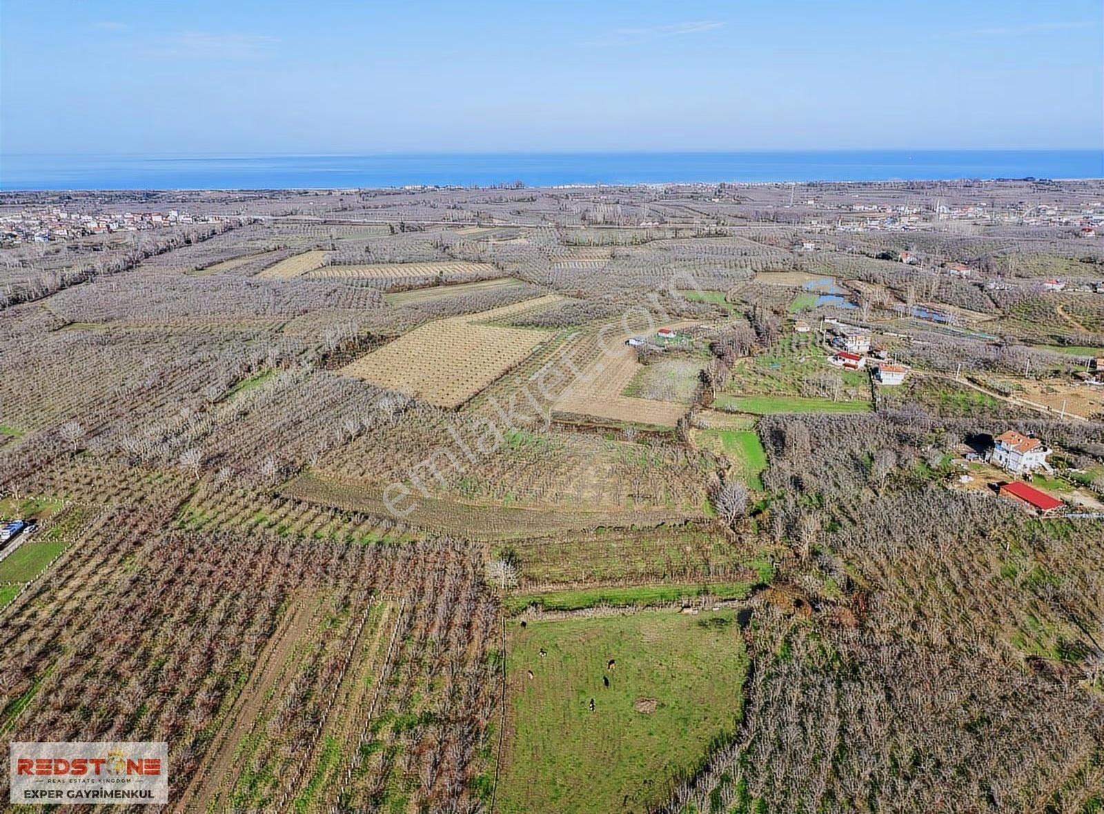 Karasu Kuyumculu'da 3.300 M2 Yerleşik Alana Yakın Tarla - Görsel 7