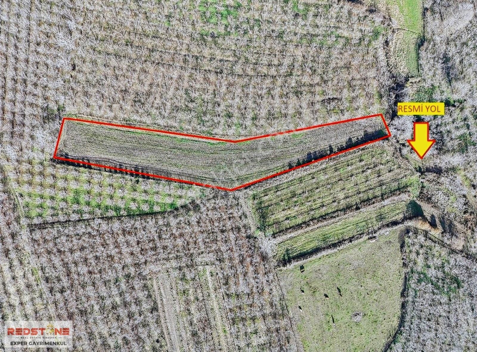 Karasu Kuyumculu'da 3.300 M2 Yerleşik Alana Yakın Tarla - Görsel 2