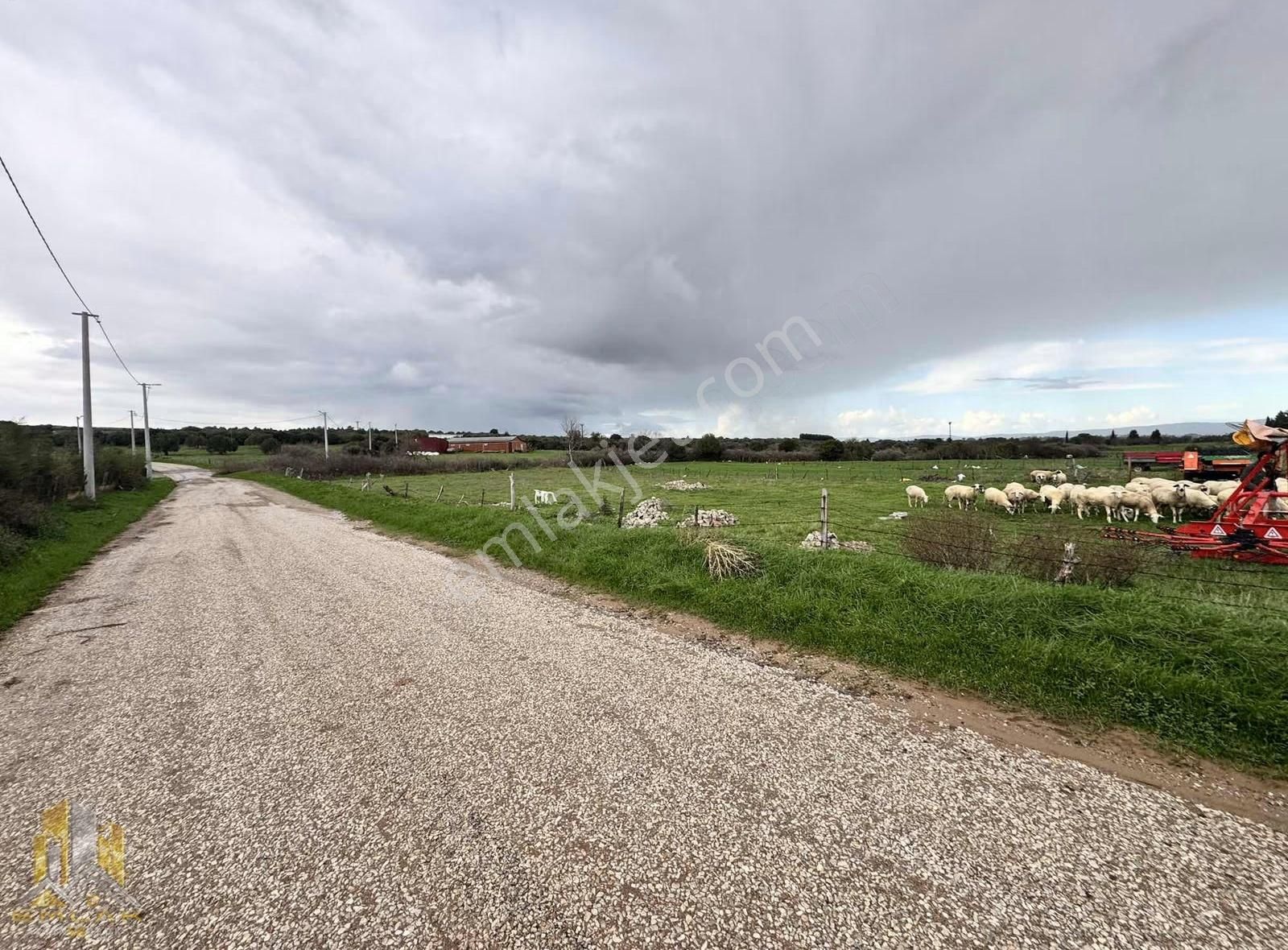 Emlak-58'den Bayramiç Pınarbaşı Köyünde 437m2 İmarlı Arsalar - Görsel 3