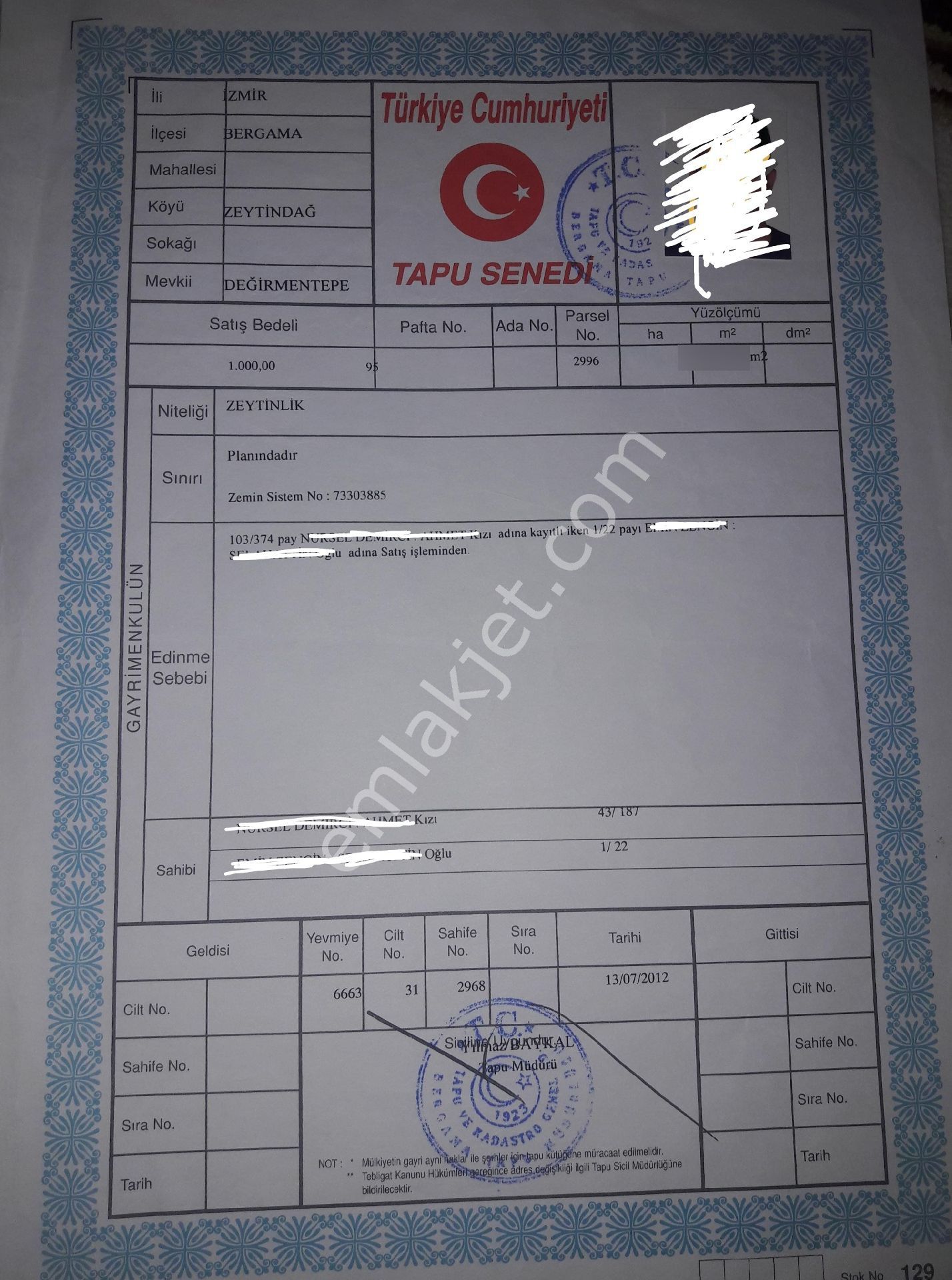 Yatırım Fırsatı! Bergama Zeytındağ Zeytinlik" - Görsel 11