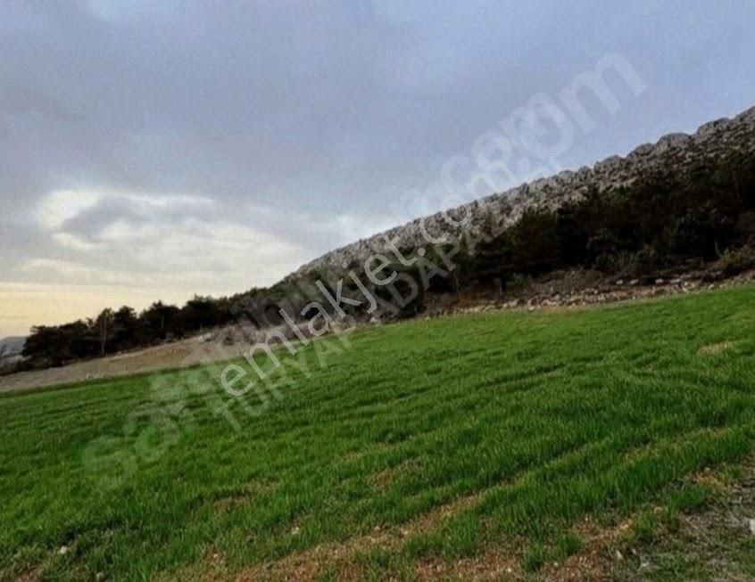 Turyaptan Geyve Hisarlık Mahallesinde 2988m2 Yatırımlık Arazi - Görsel 7