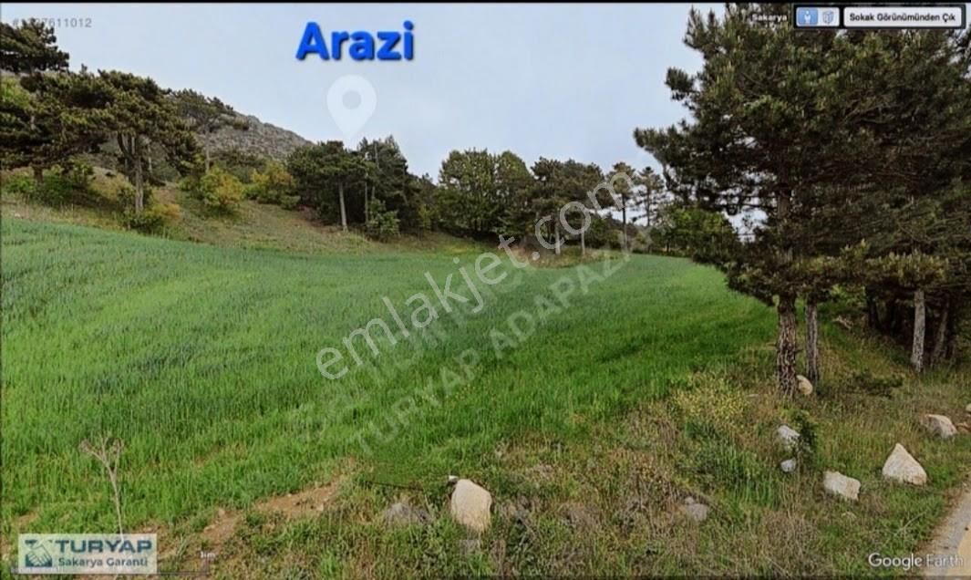 Turyaptan Geyve Hisarlık Mahallesinde 2988m2 Yatırımlık Arazi - Görsel 12