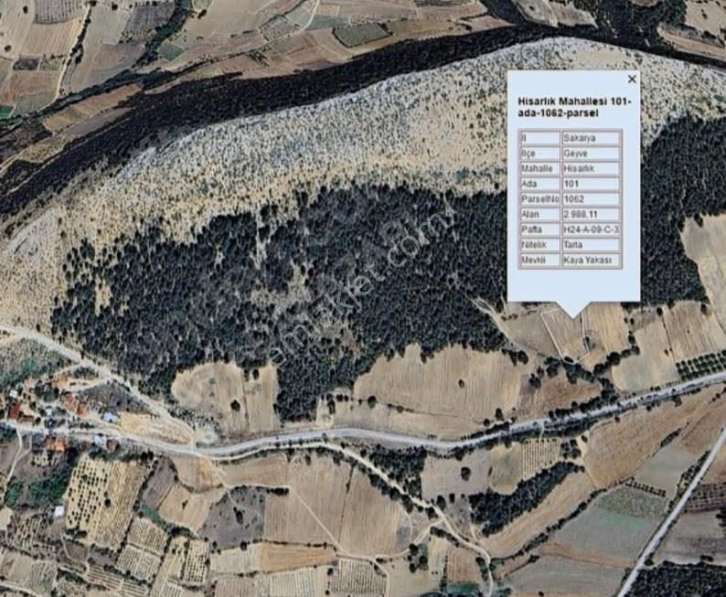 Turyaptan Geyve Hisarlık Mahallesinde 2988m2 Yatırımlık Arazi - Görsel 11