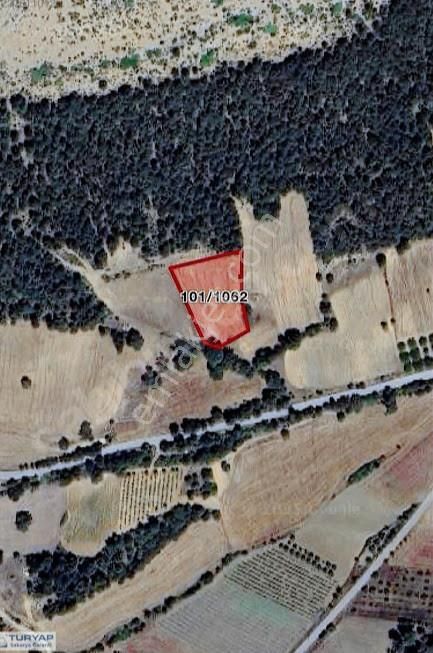 Turyaptan Geyve Hisarlık Mahallesinde 2988m2 Yatırımlık Arazi - Görsel 10