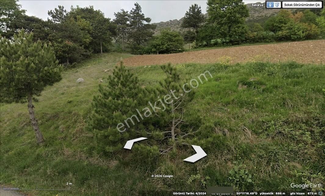 Turyaptan Geyve Hisarlık Mahallesinde 2988m2 Yatırımlık Arazi - Görsel 3