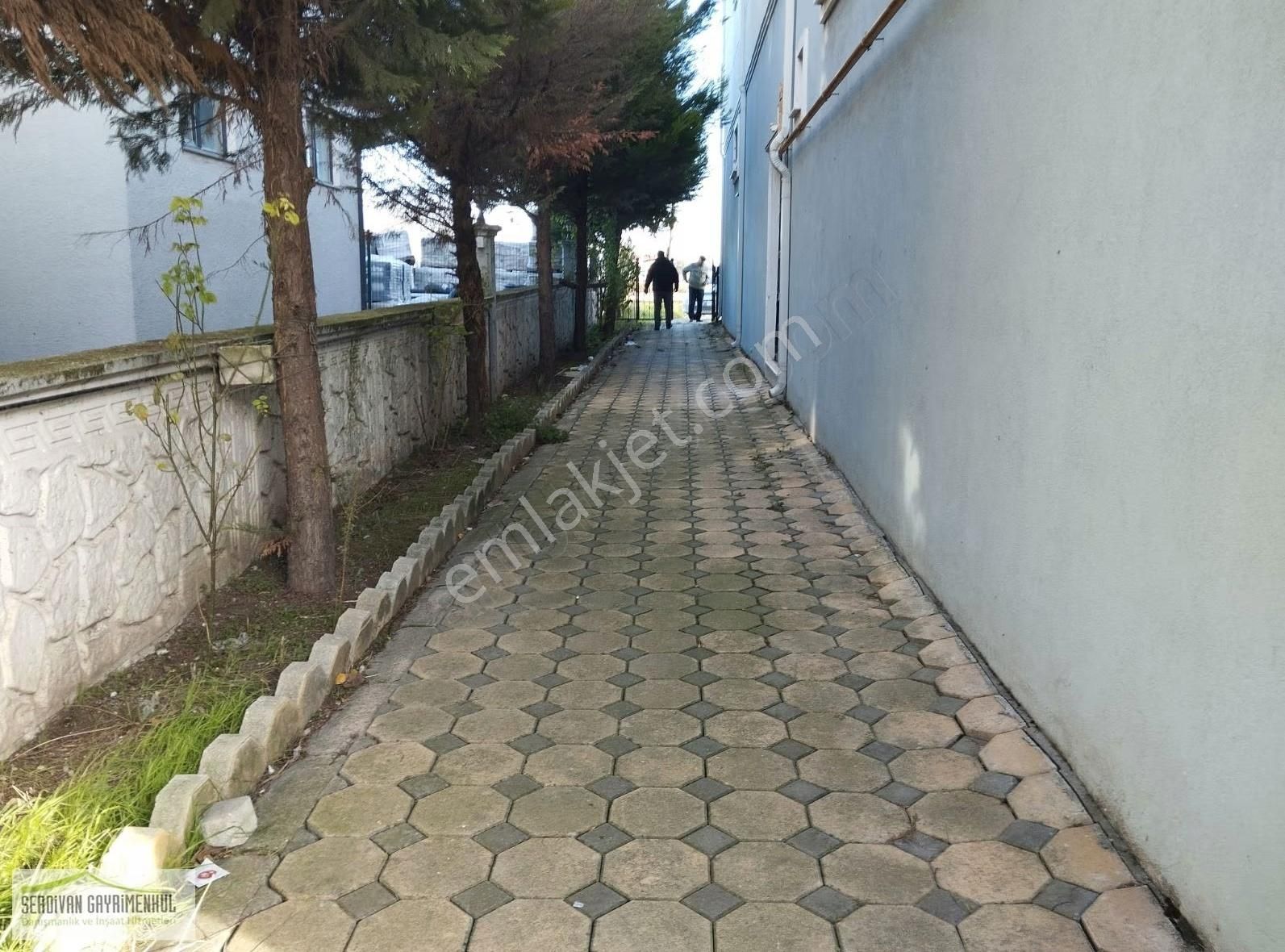 Serdivan Yazlıkta Geniş Daire - Görsel 23