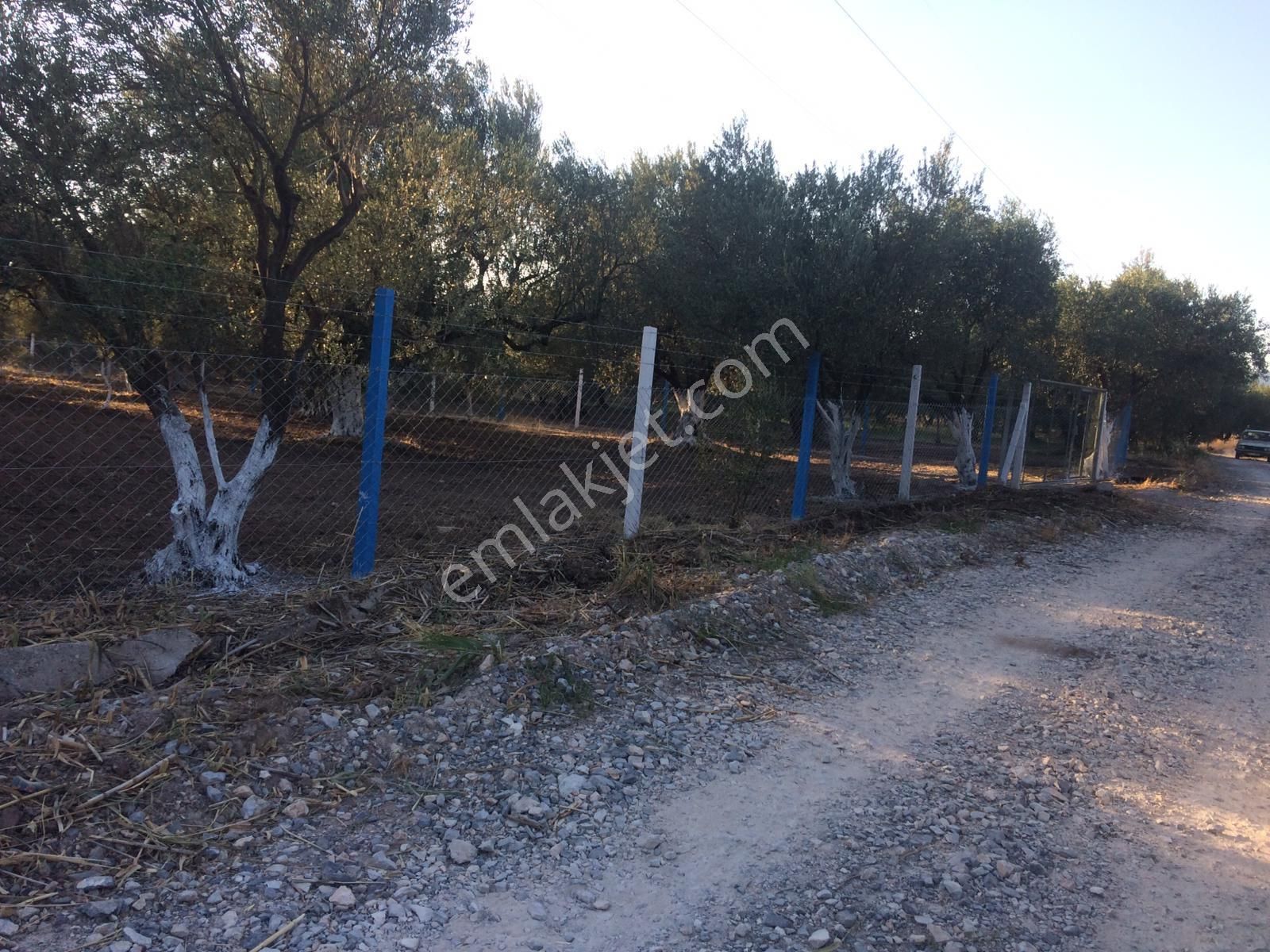 Karabağlar Mevkiinde Müstakil Tapulu - Görsel 9